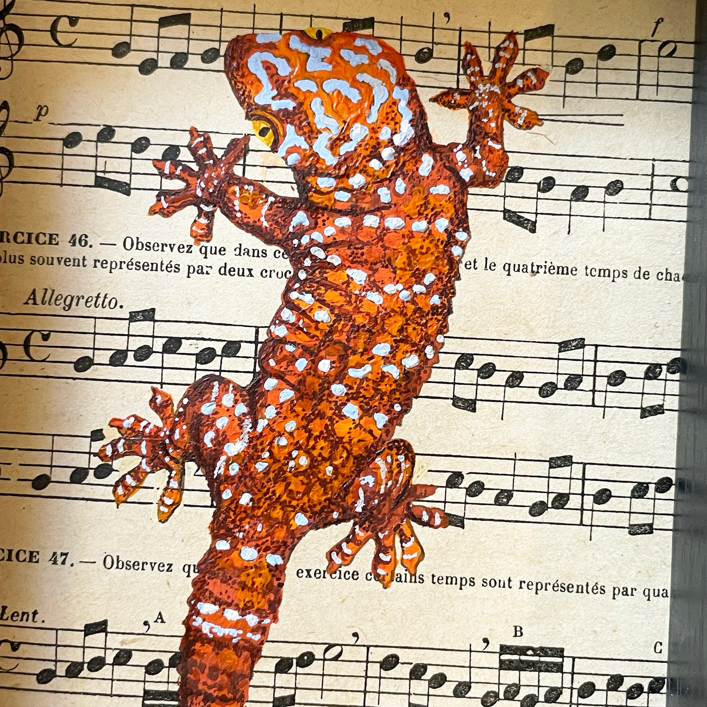 Gecko Tokay ⋆ Peinture originale