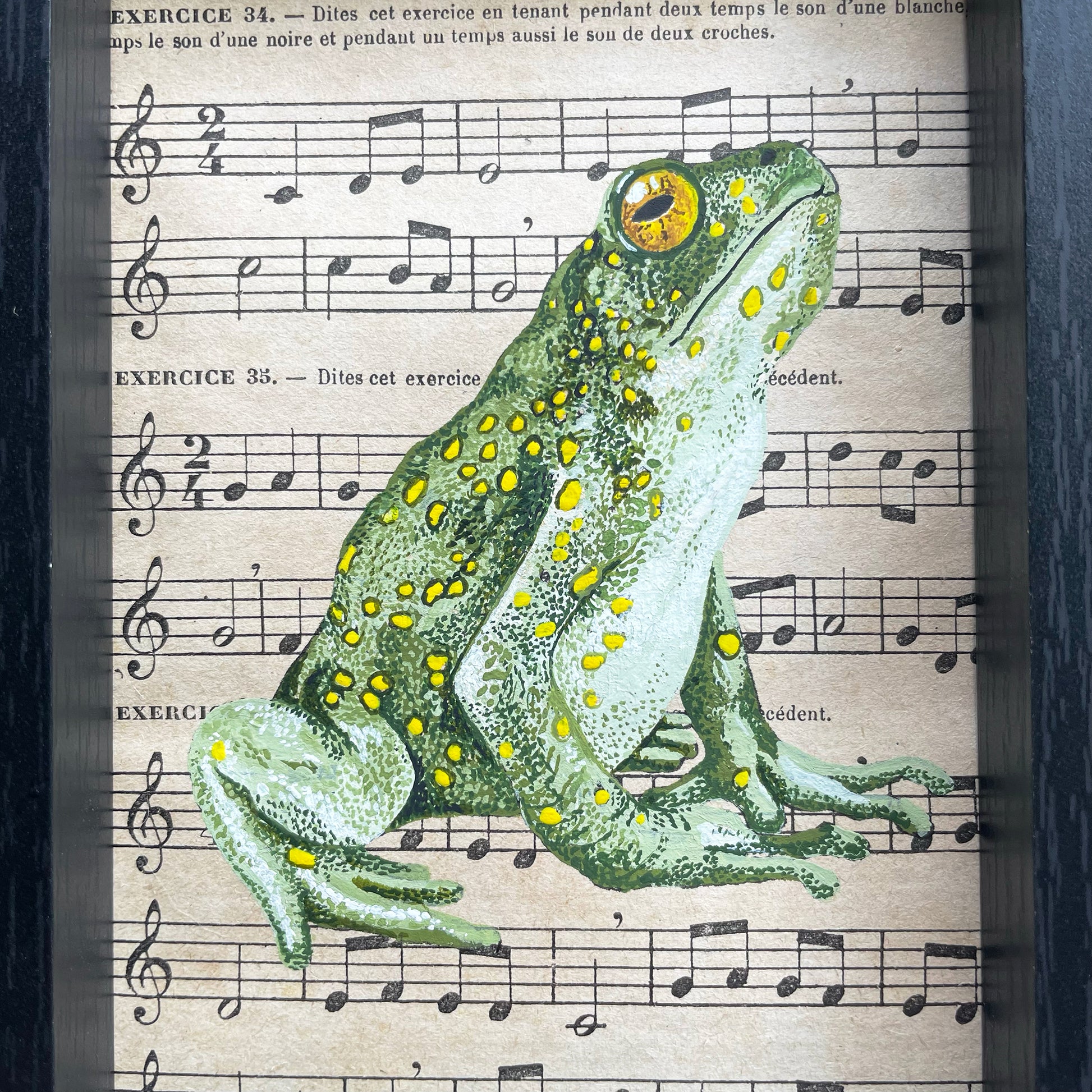 Grenouille verte  Peinture originale réalisée à la gouache extra-fine sur une page de partition de musique ancienne.  Pièce unique  Le cadre mesure :  11,8 cm de largeur sur 16,8 cm de hauteur (mesures extérieures) profondeur 2,5 cm Fabriqué en France 