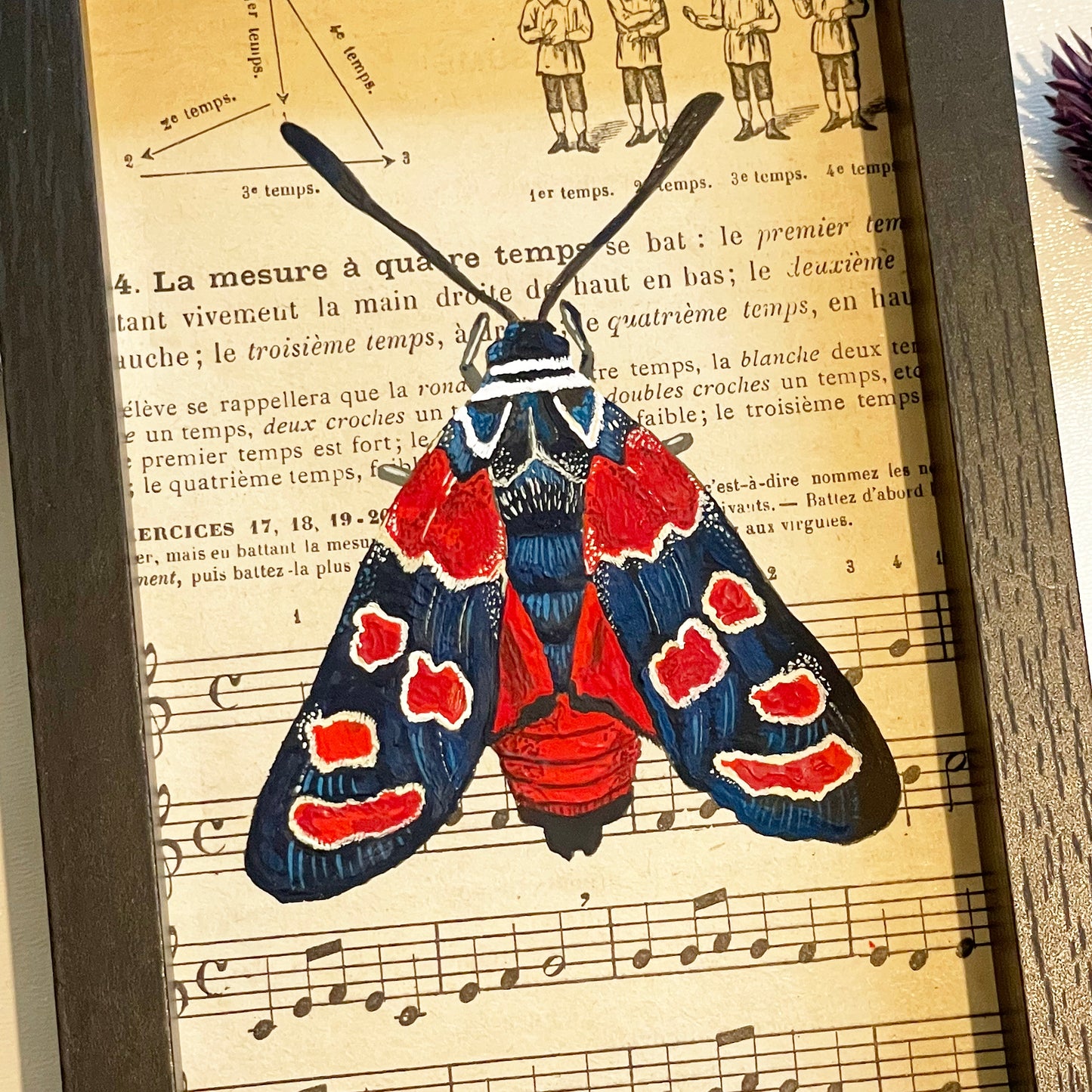 Zygaena carniolica ⋆ Peinture originale